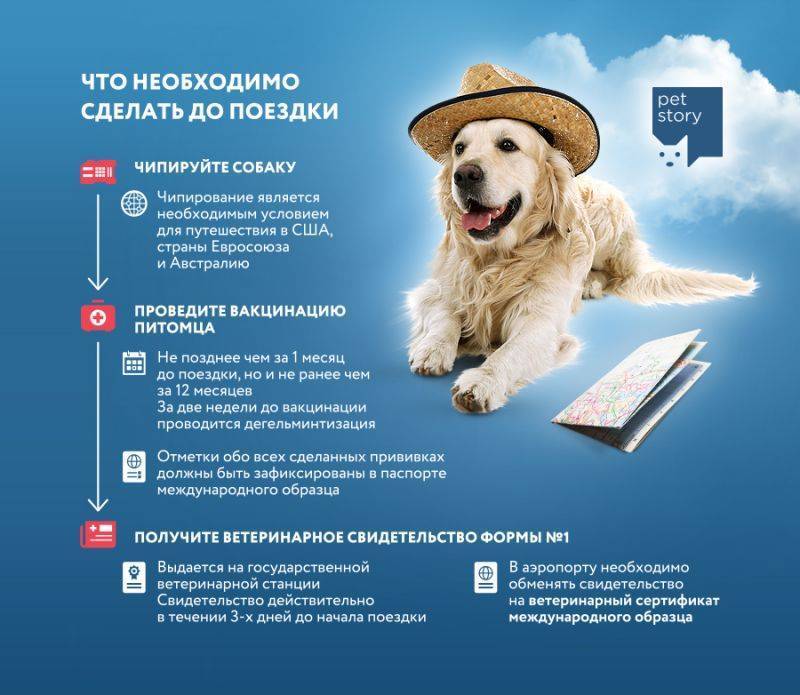 Купить Ветеринарное свидетельство формы ф1 в Москве
